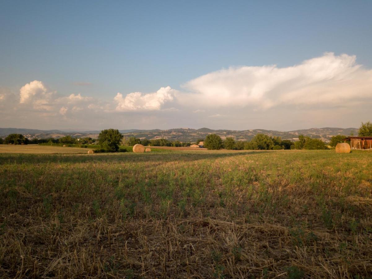 Agriturismo Consalvi Valentina Marsciano Exterior foto